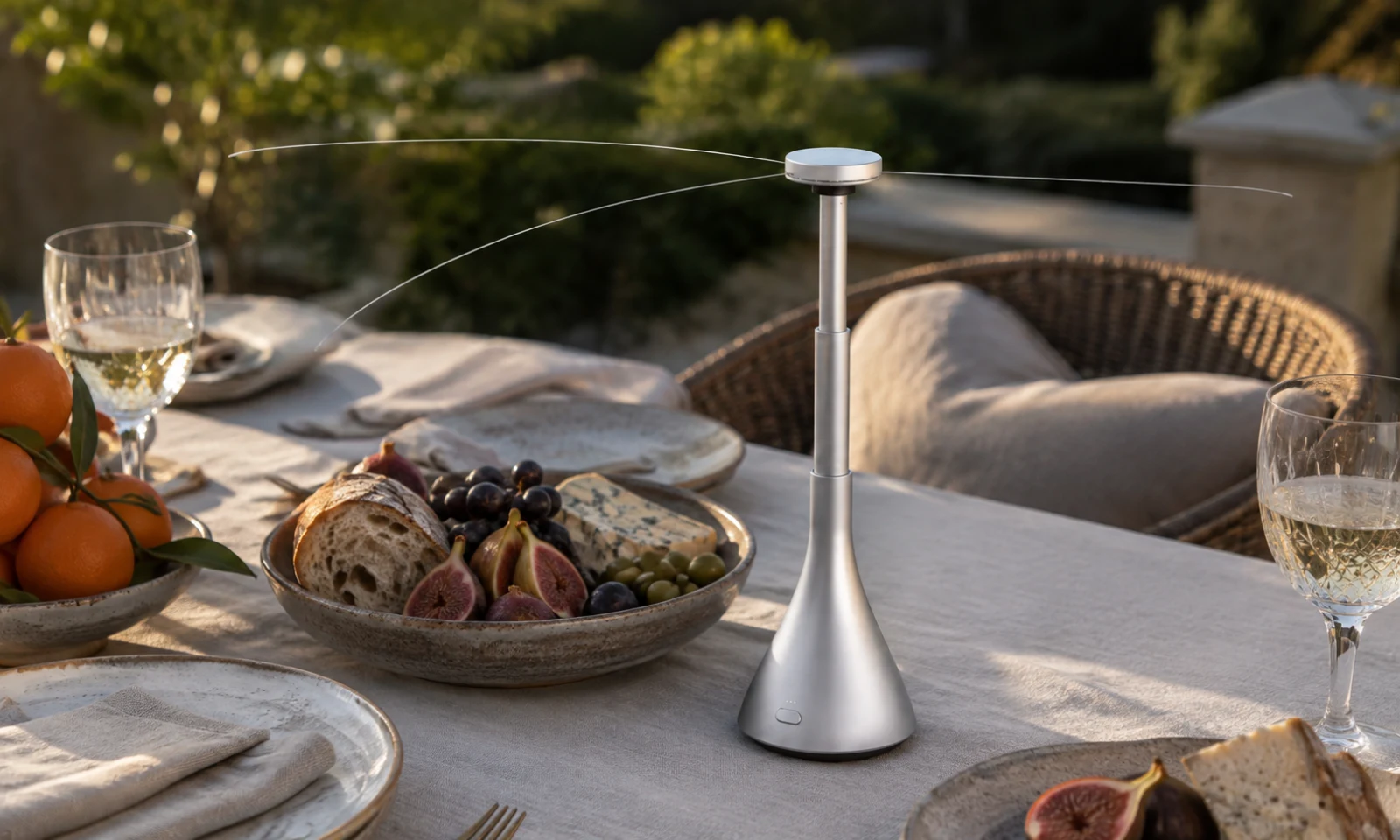 Silver evenvale among shared food, linen and wine glasses in late afternoon sunlight